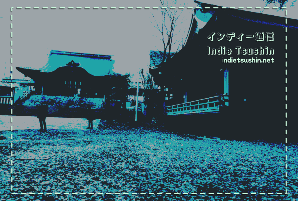 インディー通信 Indie Tsushin